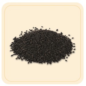 Basil Seeds (Sabja)-100g