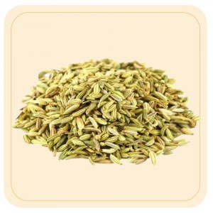 Fennel Seed / Sombu