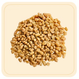 Fenugreek / Vendhayam