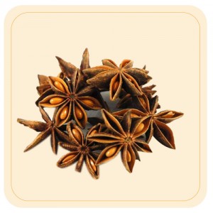 Star Anise / Annasi Poo