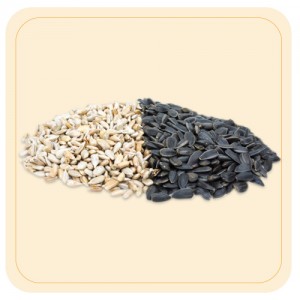 Sunflower Seed-100g