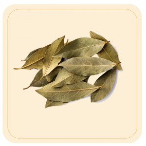 Bay Leaves / Brinji Elai